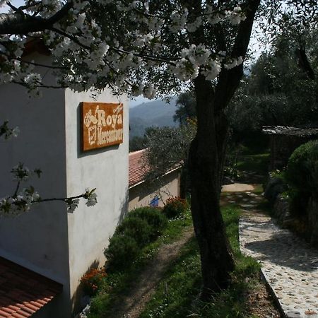Gite Roya Mercantour Breil-sur-Roya Exterior foto
